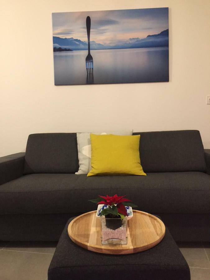 Apartament L'Appart Du 7 Annecy Zewnętrze zdjęcie